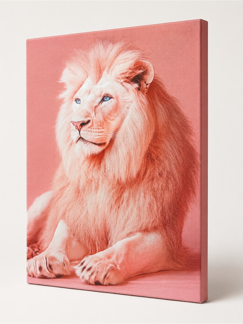 Blush Pink White Lion Canvas Wall Art with Blue Eyes – 18” x 12”